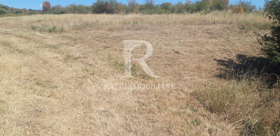 Teren agricol extravilan de 7935 mp, în Betfia