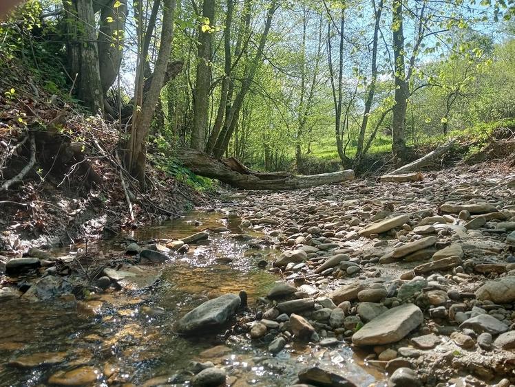 Teren de 1800 mp, în Varvata
