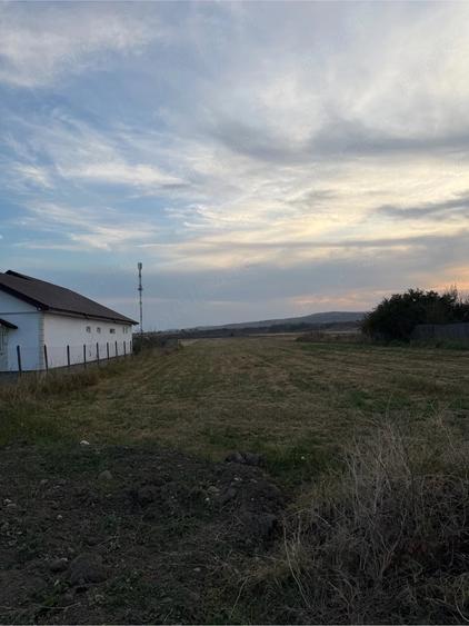Teren de 1000 mp, în Vernești