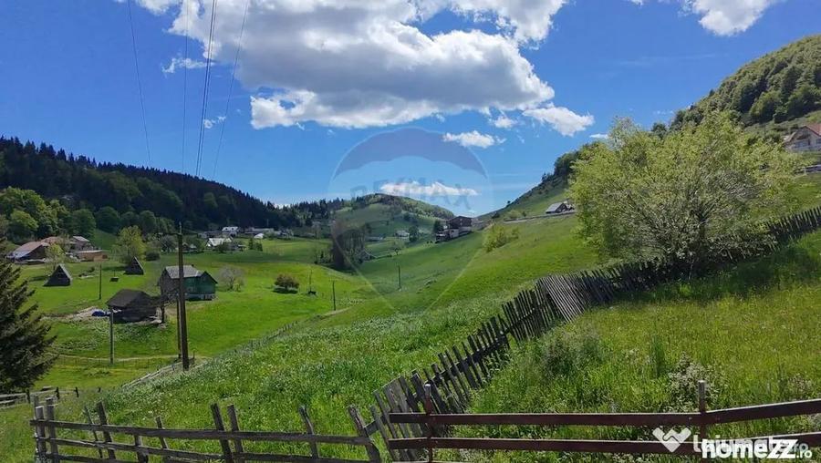 Teren Fundata drum principal - 2756 mp - Fundata (Brasov) - 1