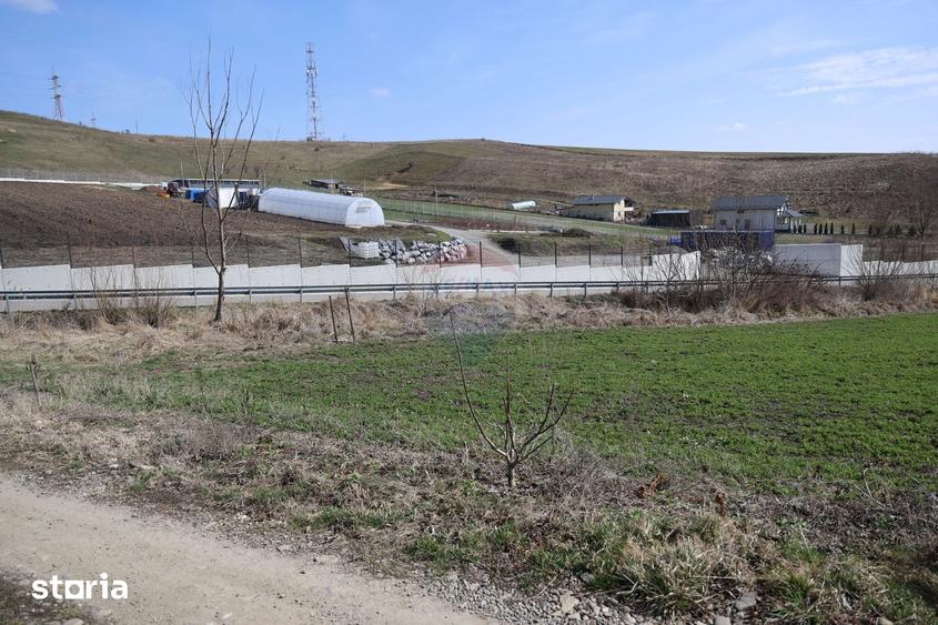 Teren de 3500 mp, în Moara