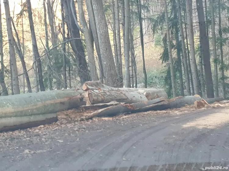 Teren de 1304 mp, în Central