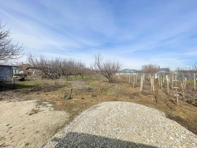 Mitreni-Valea Rosie-Acasa la Tara -4 camere-178 mp-LOT  1000 mp+Casa secundara - 42