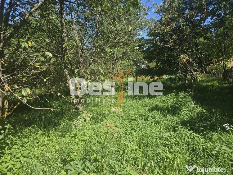 Casă cu 3 camere cu Teren 2614 Mp în Trăisteni