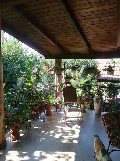 Casă cu Teren 1300 Mp în Lucian Blaga