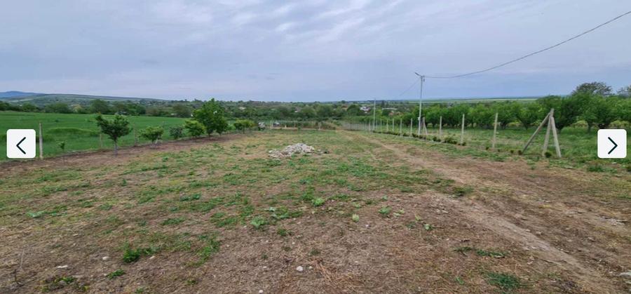 Teren Construcții intravilan de 3800 mp, în Gura Vadului