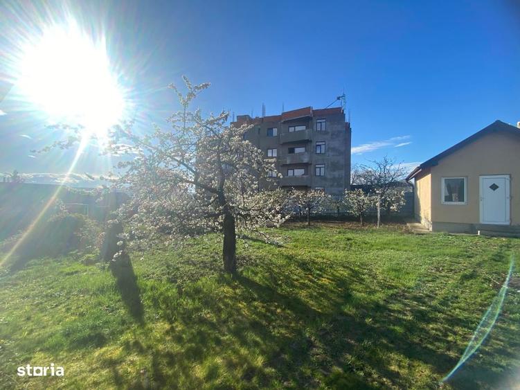 Spațiu comercial, în Central