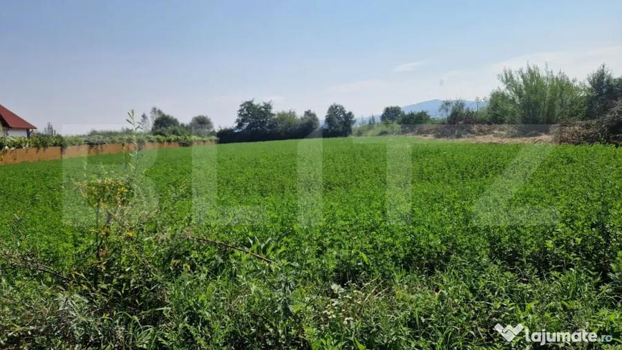 Teren intravilan 3800 m Posibilitate afacere sau casa de loc - 2