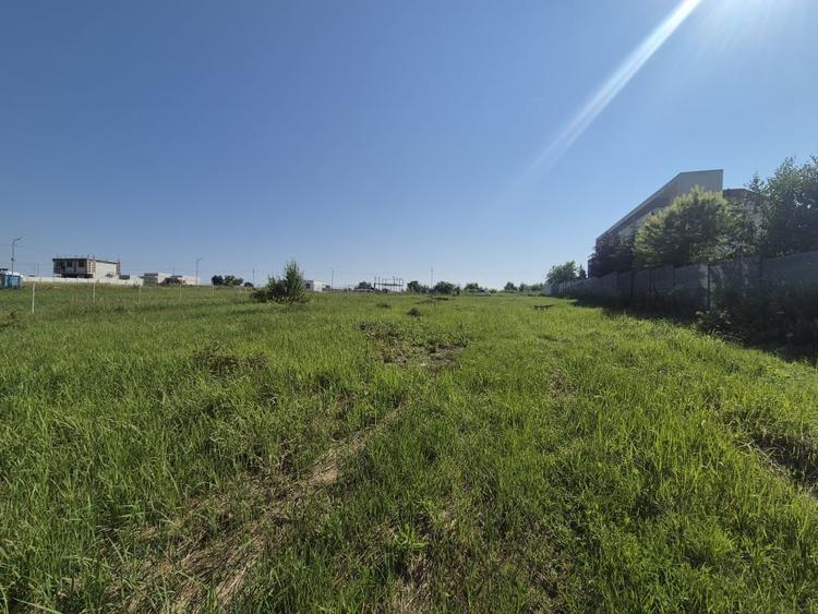 Teren Construcții intravilan de 2500 mp, în Izvorani