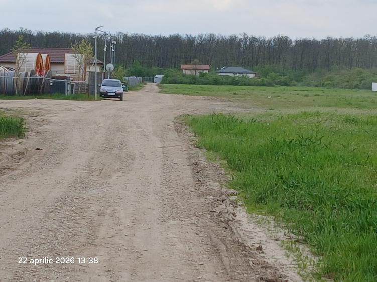 Teren Construcții intravilan de 900 mp, în Cernica