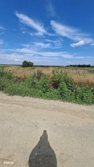 Teren de 5000 mp, în Mânăstioara