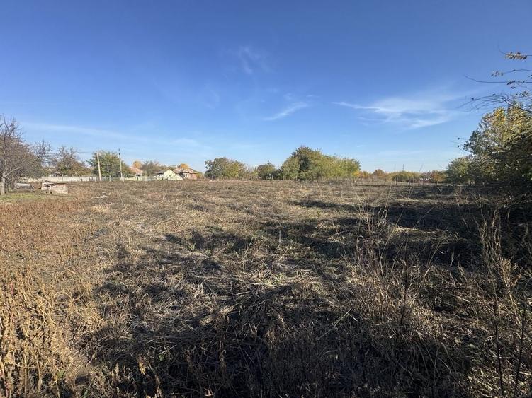 Casă cu 2 camere în Vânători