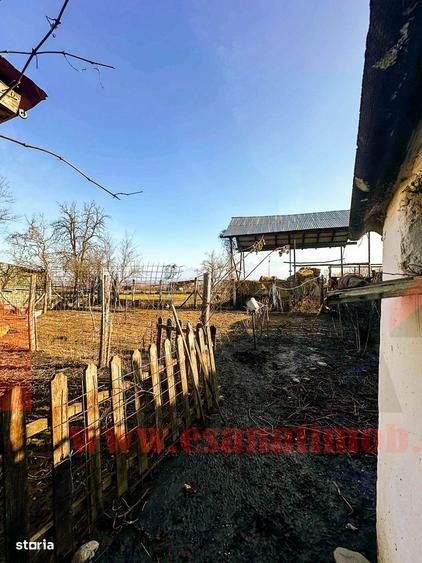 Casă cu 3 camere cu Teren 700 Mp în Central