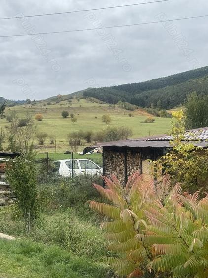 Teren de 2400 mp, în Orlat