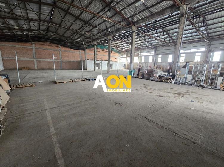 Spațiu industrial, de 900 mp, în Bărăbanț