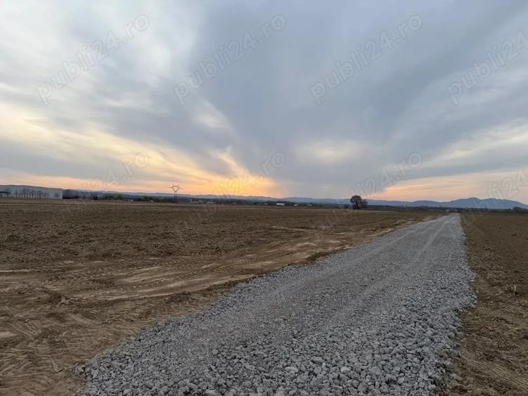 Teren de 1350 mp, în Tâmpa