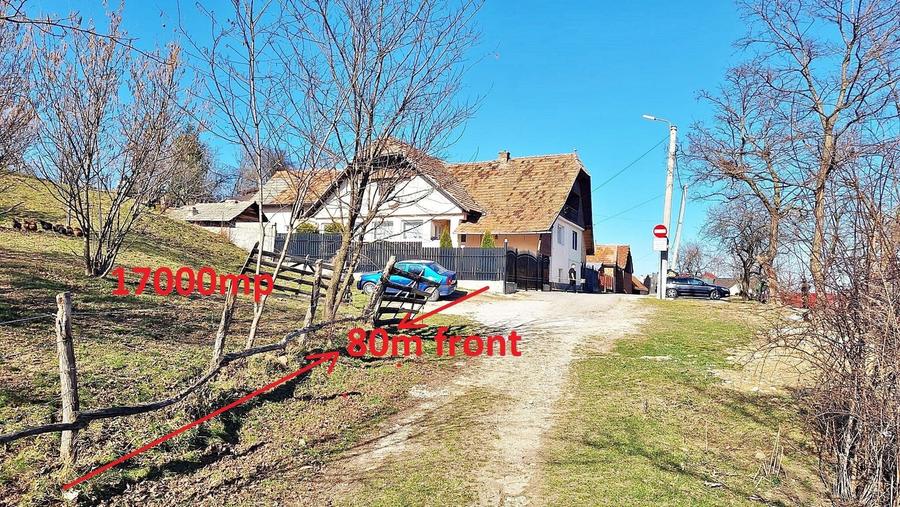Teren Construcții extravilan de 17000 mp, în Tohanu Nou