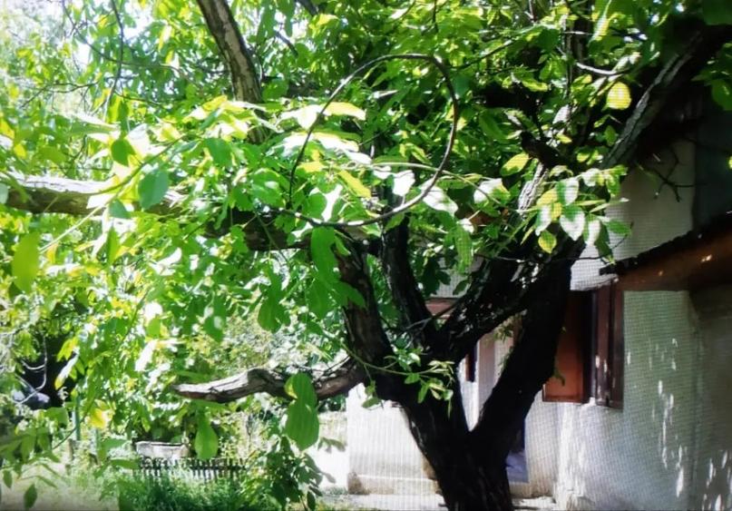 Casă cu 3 camere în Uliești