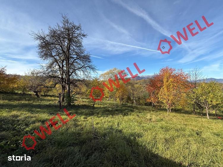 Casă cu Teren 4831 Mp în Bran