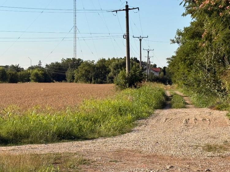 Teren Construcții intravilan de 1000 mp, în Vlădiceasca