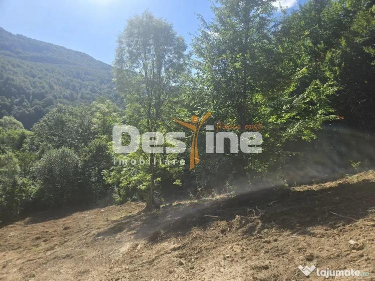 Teren în Teșila