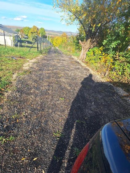 Teren de 1400 mp, în Sărata