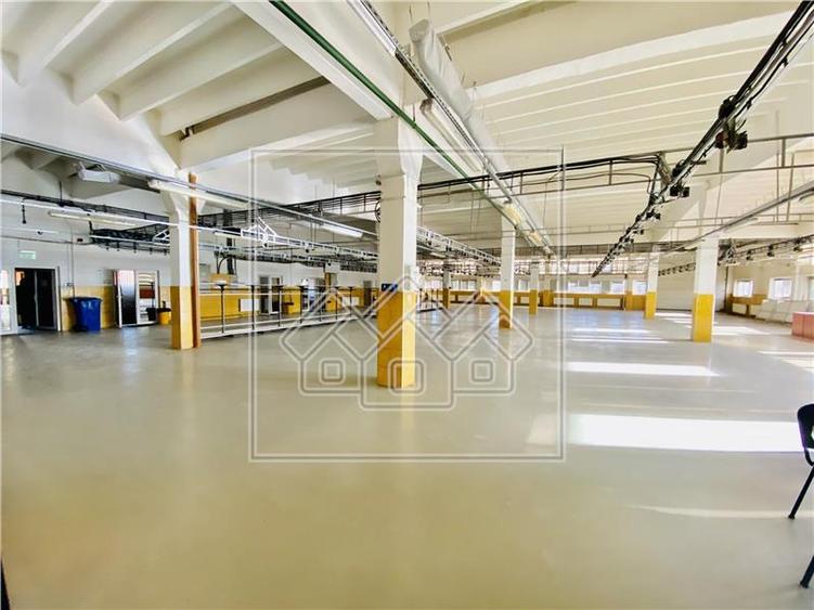 Spațiu industrial, de 1,200 mp, în Terezian