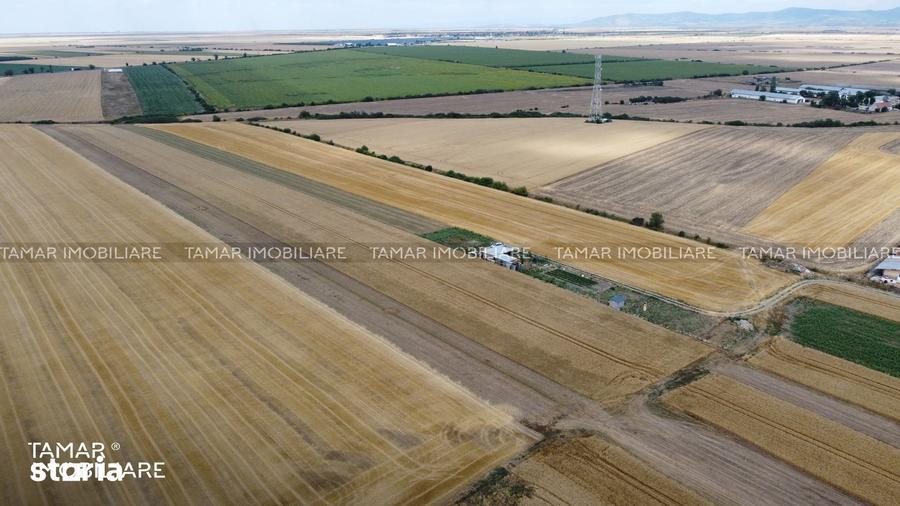 Teren de 10000 mp, în Central