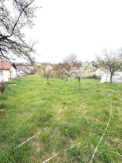Teren Construcții intravilan de 600 mp, în Dumbrava 2