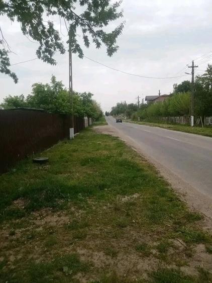 Teren de 700 mp, în Băcălești