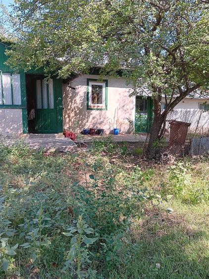 Casă cu 5 camere cu Teren 1740 Mp în Movila Miresii