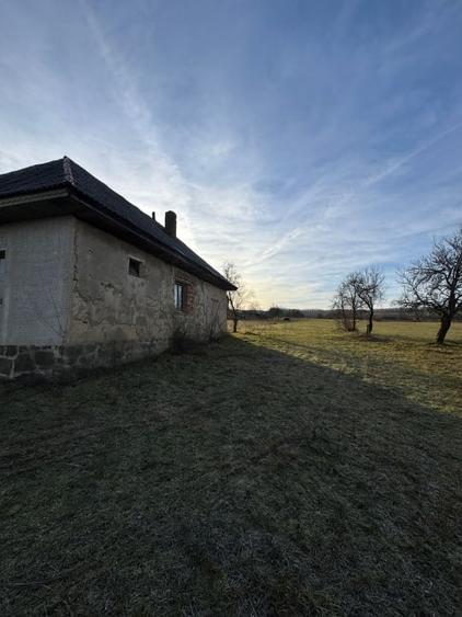 Casă individuală cu 3 camere cu Teren 2500 Mp în Șindrești
