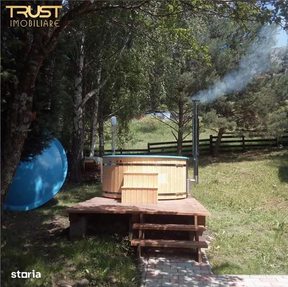 Cabana la munte, Colibita, jacuzzi, foisor - 15