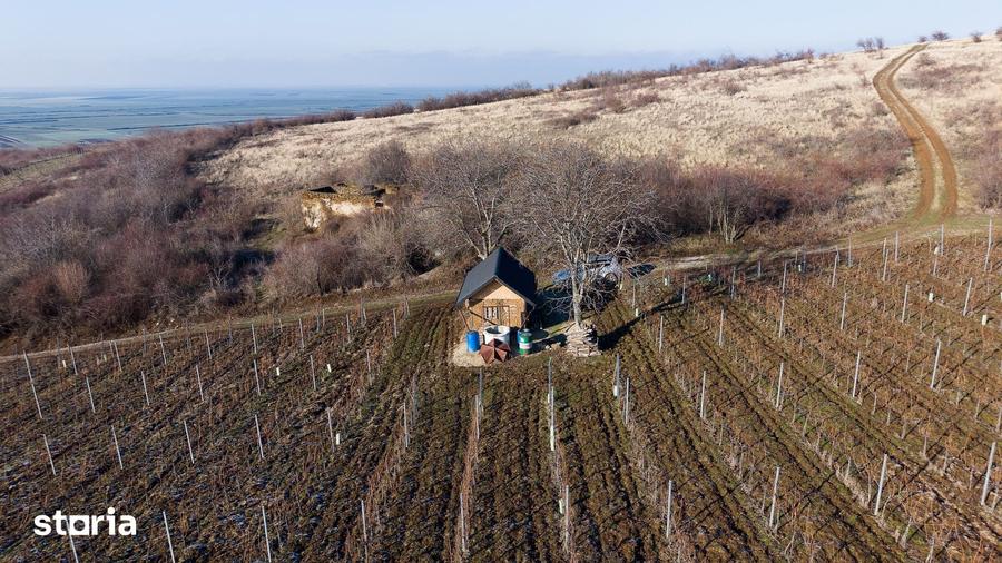 Teren de 6800 mp, în Covăsinț