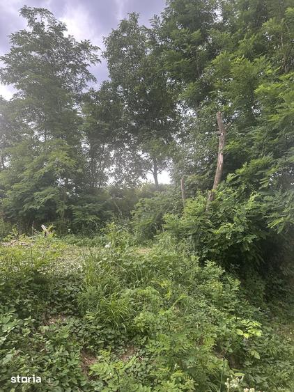 Teren de 600 mp, în Cornu