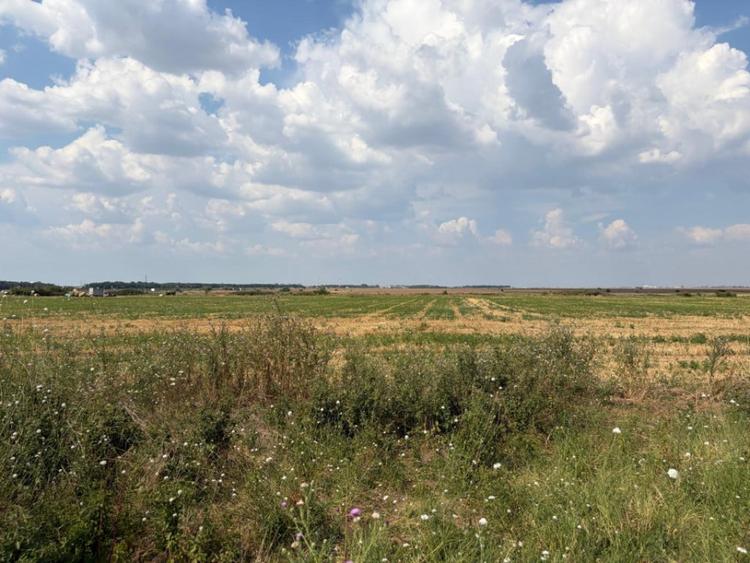 Teren de 12000 mp, în Cârcea