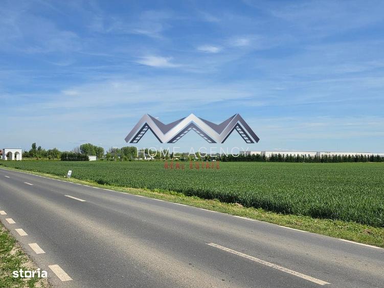 Spațiu comercial, în Dimieni