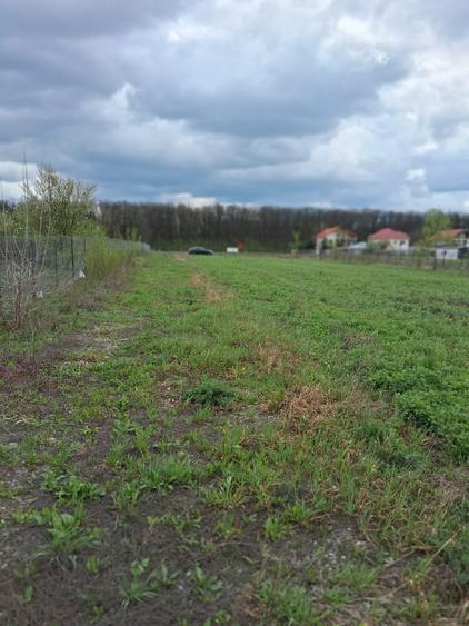 Teren Construcții intravilan de 5600 mp, în Snagov