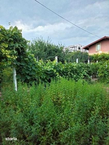 Teren exceptional 770 mp zona Vile Palazu Mare - 4