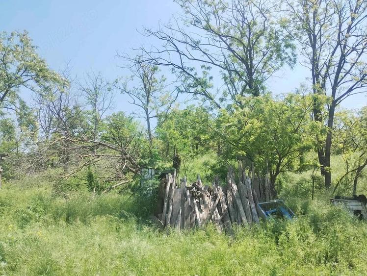 Teren de 1820 mp, în Rasova