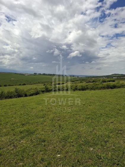 Teren agricol extravilan de 11500 mp, în Daia