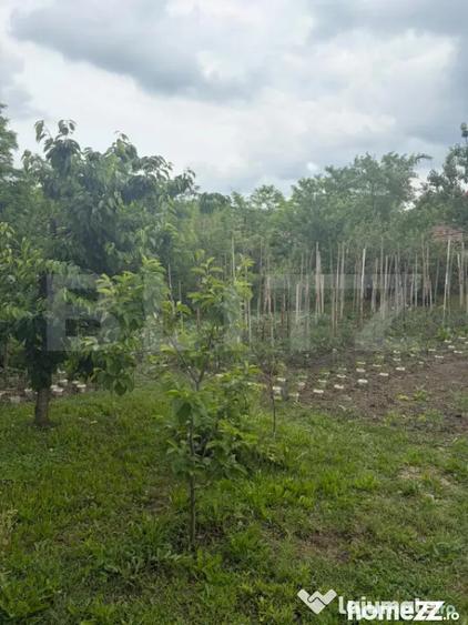 Casă cu 3 camere cu Teren 798 Mp în Cornești (Crăciunești)