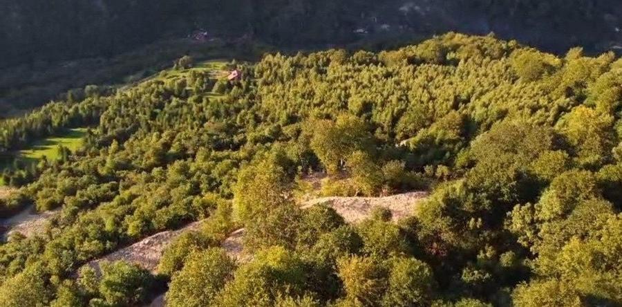 Teren de 12000 mp, în Vale