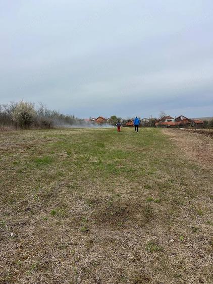 Teren de 1300 mp, în Țipari