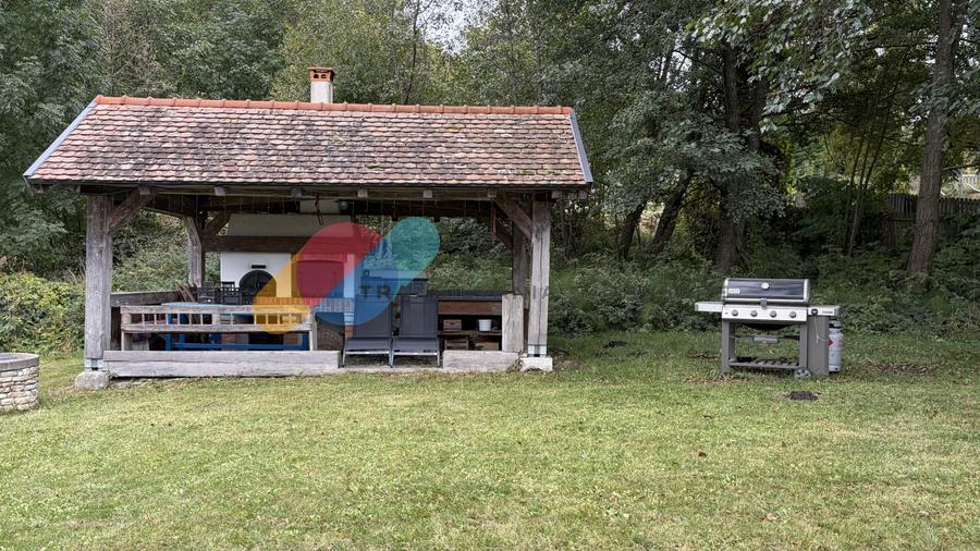 Casă individuală cu 3 camere cu Teren 3000 Mp în Sălicea