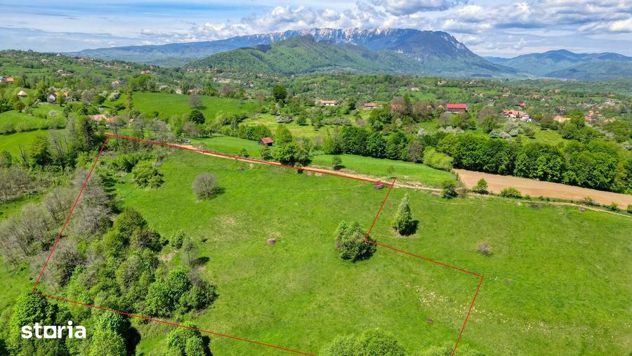 Teren extravilan 20.000 mp, zona Bran, vedere spre Mun?ii Bucegi - 1