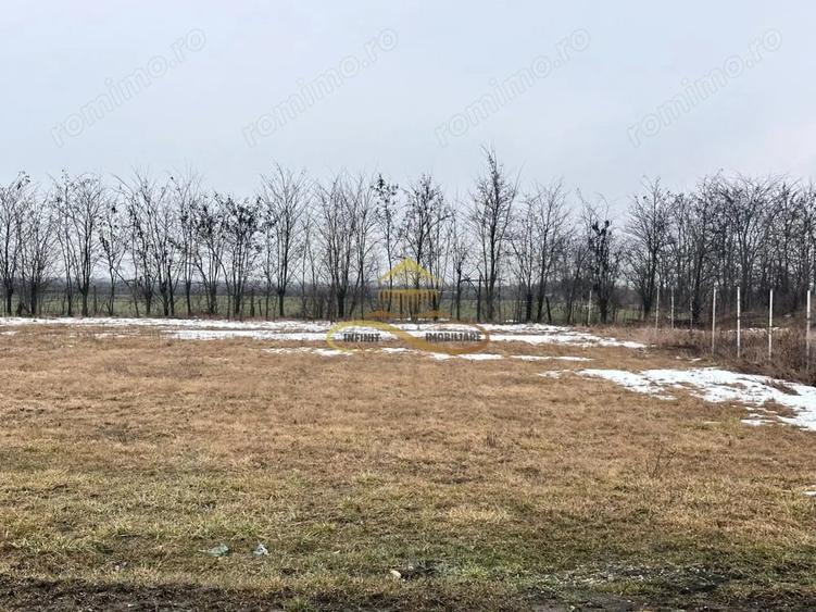 Teren de 900 mp, în Săucești