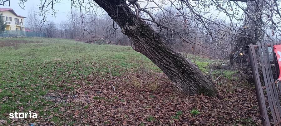 Teren de 1560 mp, în Poiana