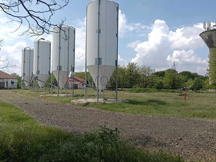 Ferma complet utilata 30 ha teren comasat cu 11.500mp grajduri renovate Timi? Comuna Biled - 18