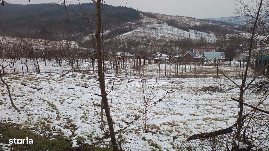 Teren de 704 mp, în Breazu